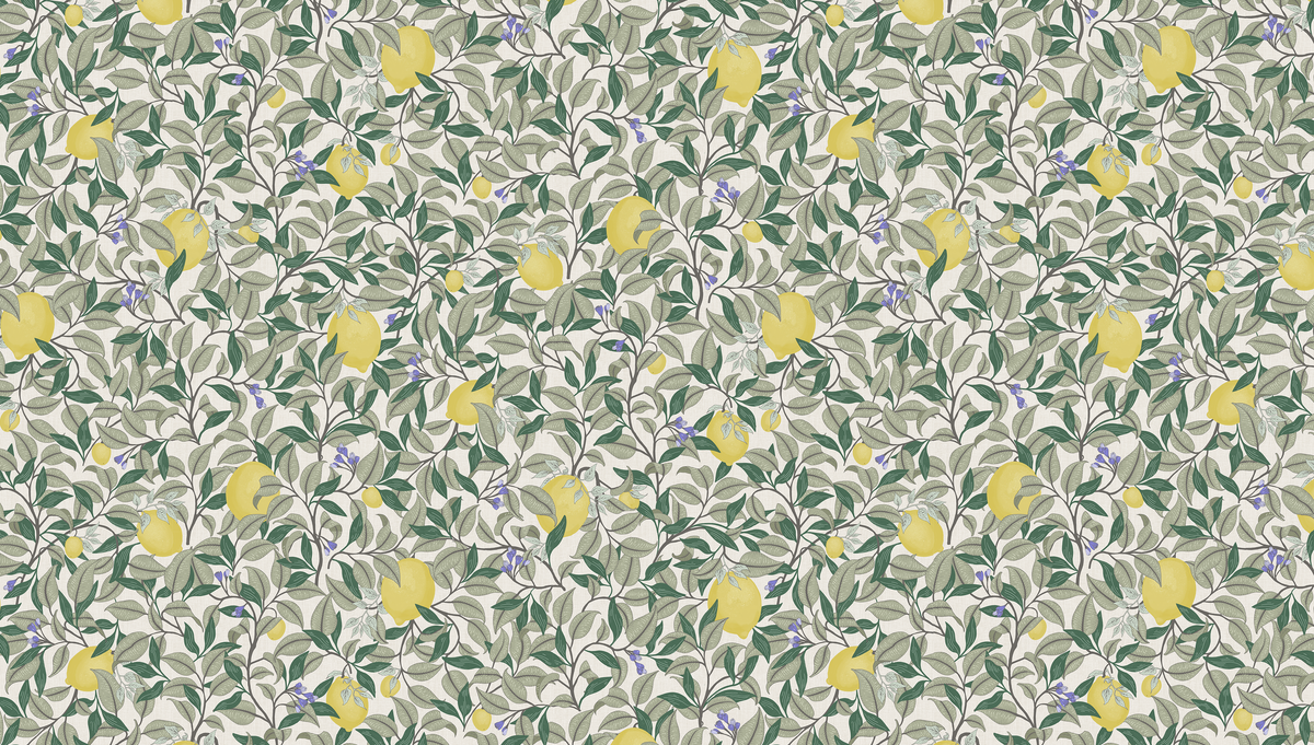 Tukane - Nougat