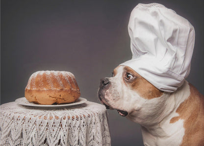 The Confectioner and his masterpiece