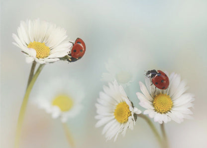 Springtime....