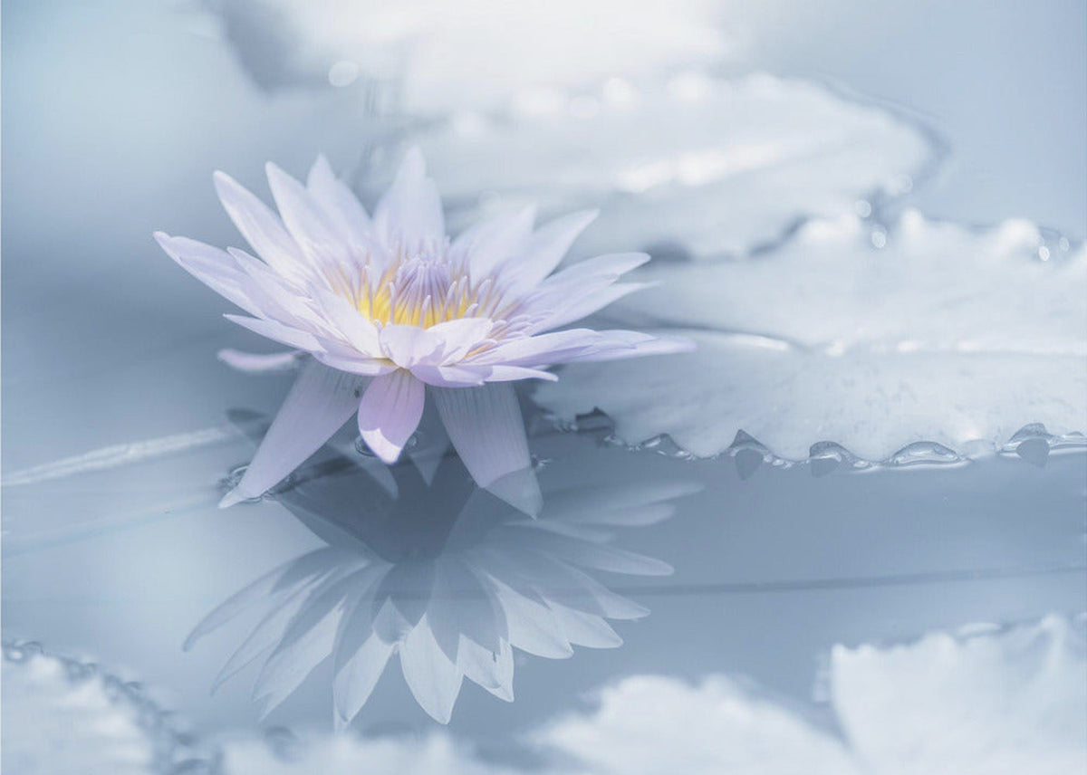 Reflection