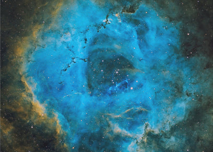 Rosette