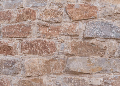 Texture 67