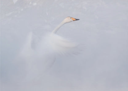 Weightlessness...