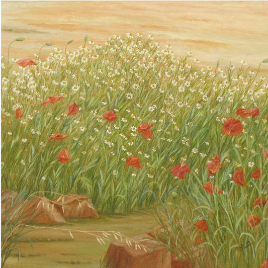 Daisies and  Poppies